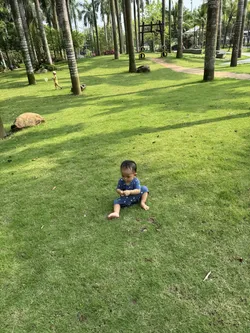 grass